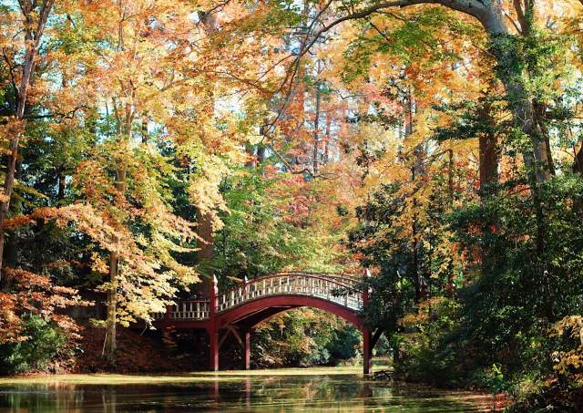 A Romantic Fall Getaway in Williamsburg