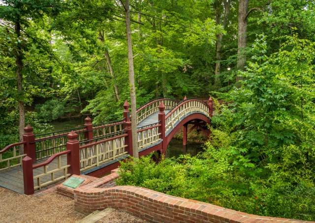 Celebrate Your Grad in Style: Fun Things to Do During William & Mary Graduation Weekend