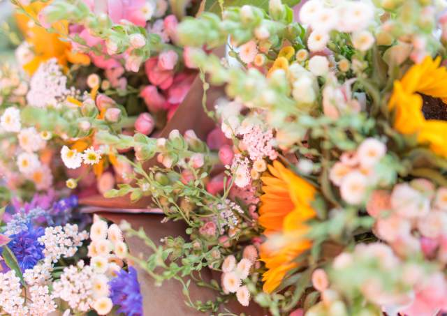 Top Wedding Venues by Season