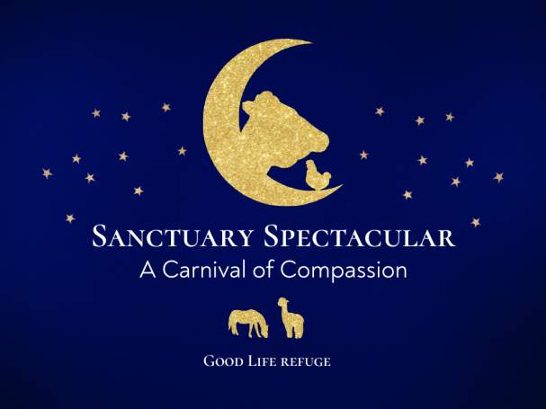 Sanctuary Spectacular: A Carnival of Compassion