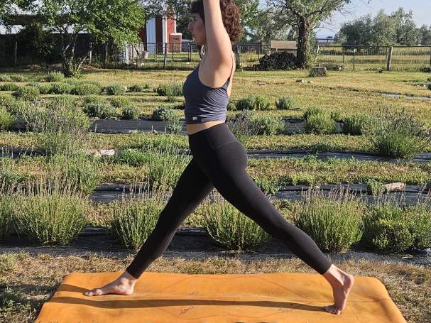 Farm yoga