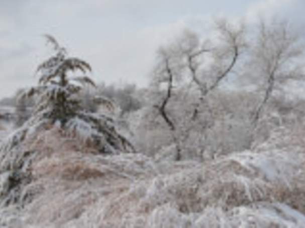 Winter Solstice Night Walk