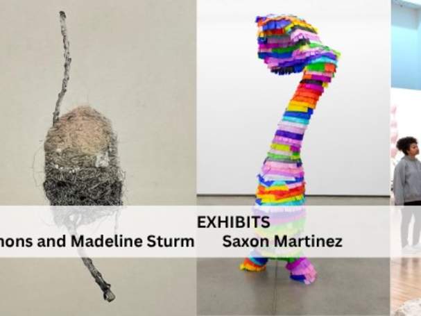 2nd Friday Opening Reception- Saxon Martinez