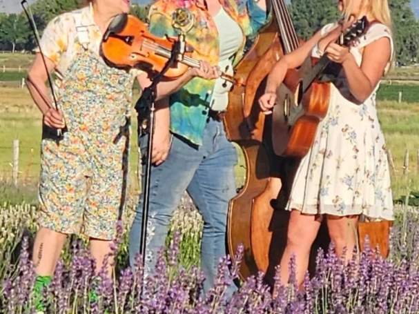 music at bricks on main "5-foot Betty"