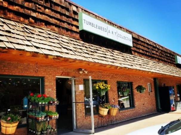 Cyanotype Photography 101