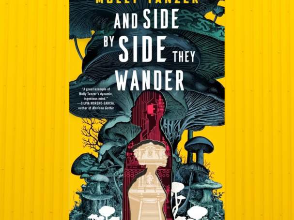 Book Release Party! AND SIDE BY SIDE THEY WANDER by Molly Tanzer