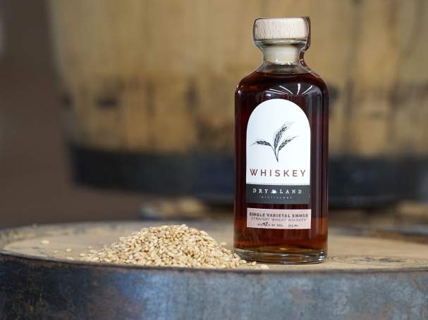 Emmer Wheat Whiskey Release Party!