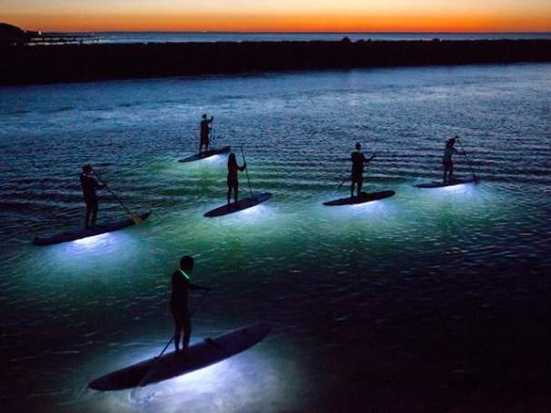 Tiki Under the Moonlight: A Full Moon Paddle Experience