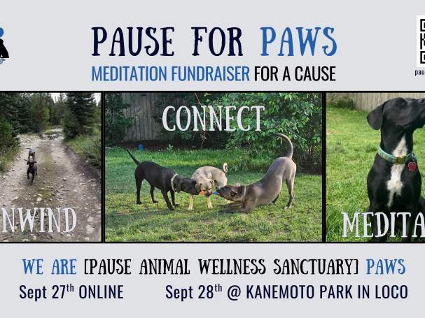 Pause for PAWS Meditation Fundraiser