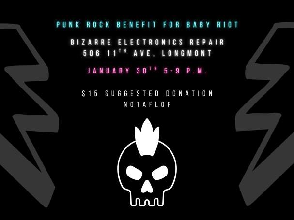 Punk Benefit for Baby Riot