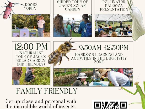 Pollinator Palooza