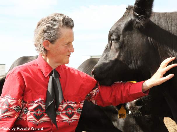 An Evening with Temple Grandin