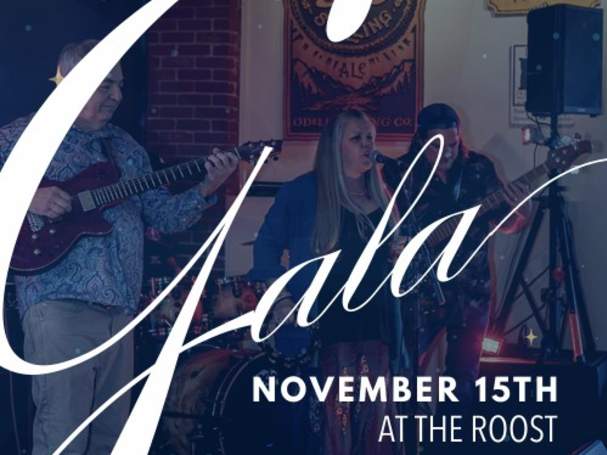 Instruments for Change - Fall Gala