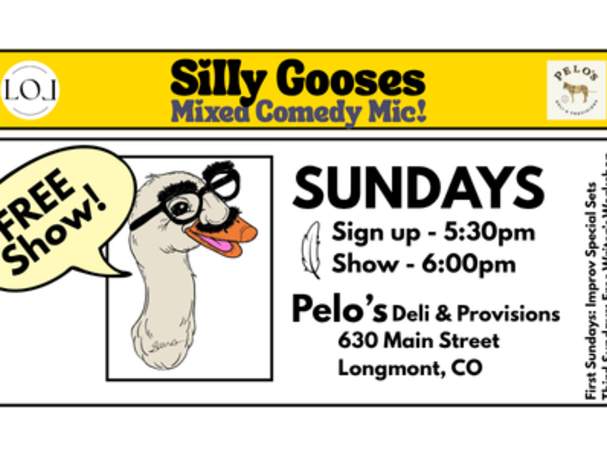 Silly Gooses: Mixed Comedy Mic