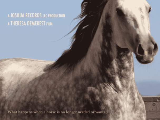 Screening of "Throw Away Horses" Featuring the Colorado Horse Rescue