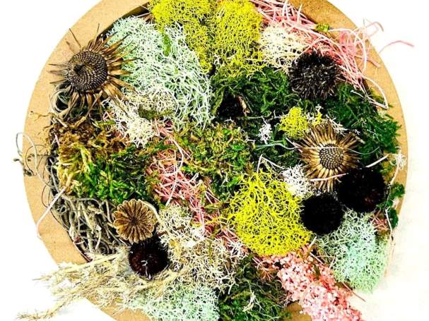 Art & Sip: Mini Moss Wall Art