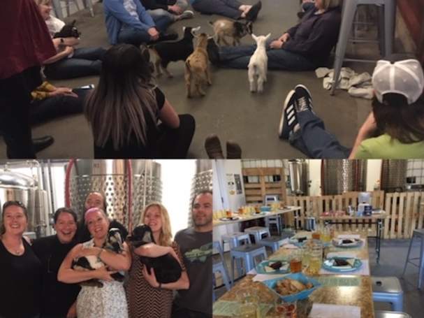 Workshop | Cheesemaking 101 + Baby Goats!