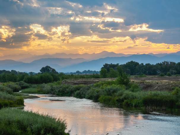 Free Guided Bird Walk