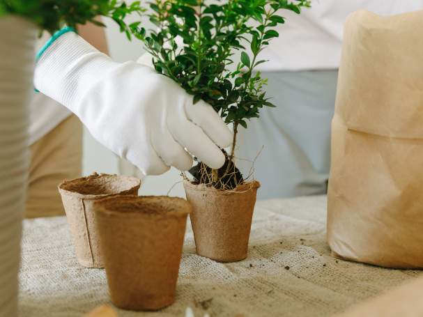 Beginning Gardening at Sandstone Ranch