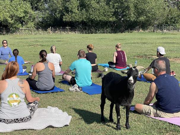 Zen with Friends: Yoga at Good Life Refuge