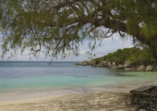 064_JTB_Ocho_Rios_Nature_Columbus_Cove_Ocean_Explore_3