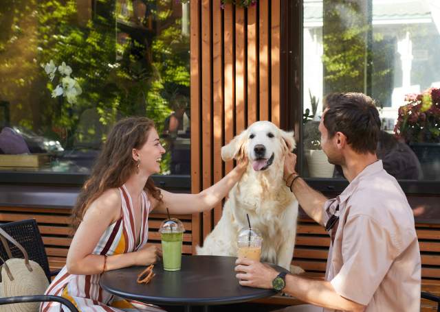 Best Dog-Friendly Cafés on the San Francisco Bay Area Peninsula (2026 Guide)