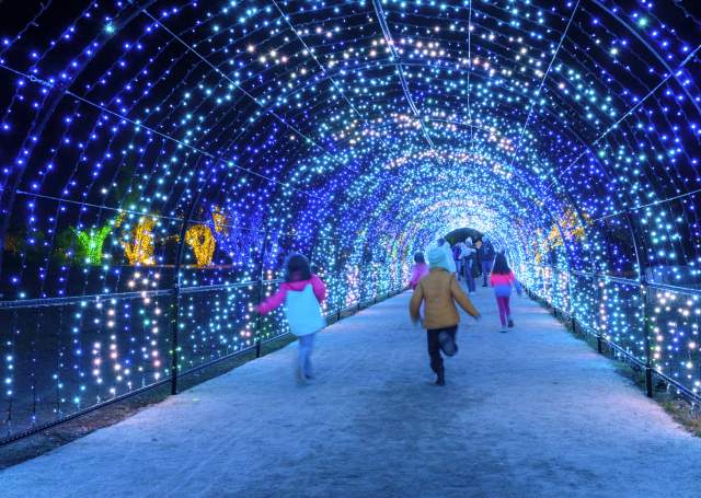 Holiday Activities on The San Francisco Peninsula