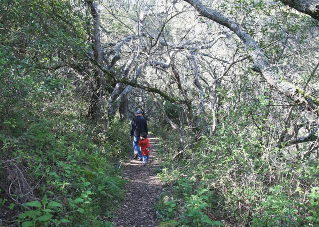 san bruno
