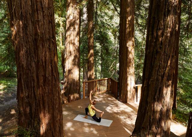 Discover Wellness Activities on The Peninsula: The Healthiest County in California