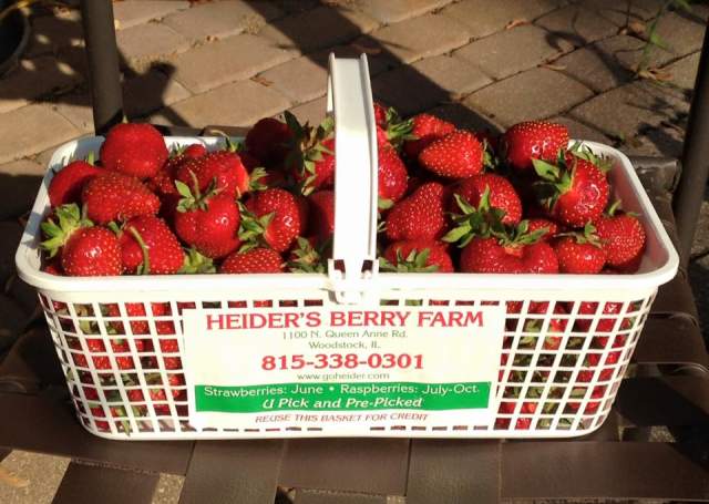 Heider's Berry Farm