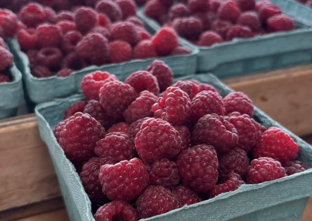Heider's Berry Farm