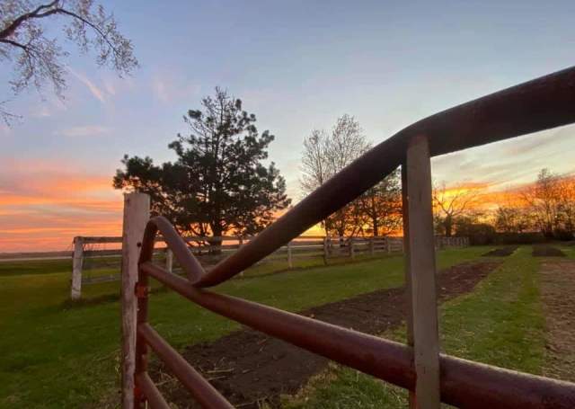 Dented Gate Flower Farm