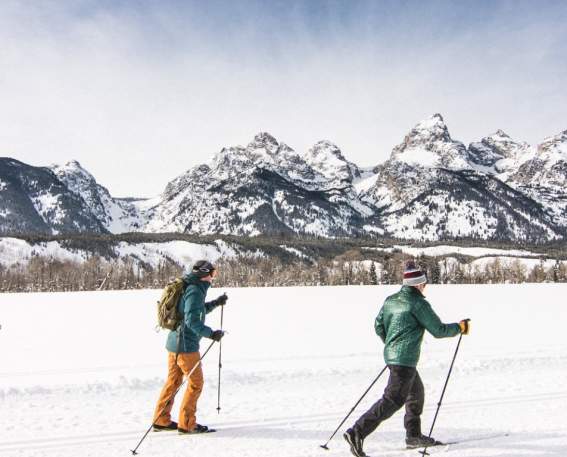 Cross Country Skiing