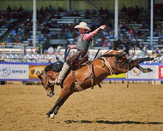 Rodeo