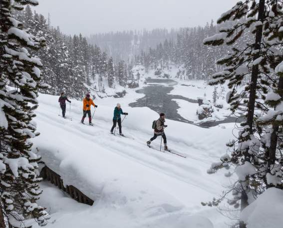 cross country skiers