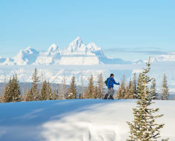 Backcountry Skiing Towgotee Lodge