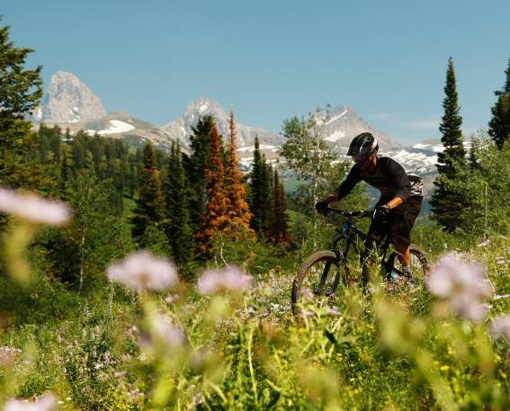 Summer Biking at Targhee
