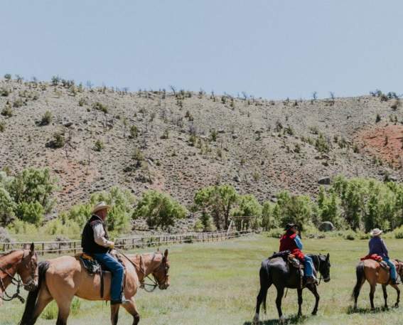 CM Ranch horseback riding