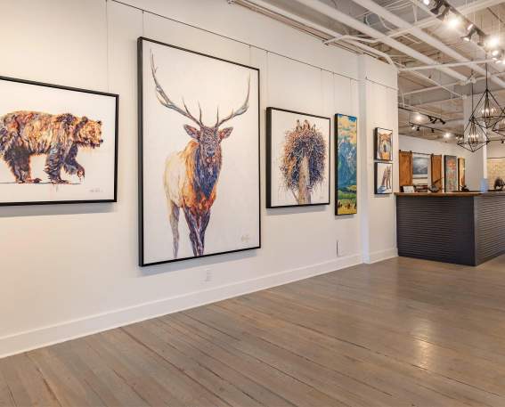 Gallery Wild Interior