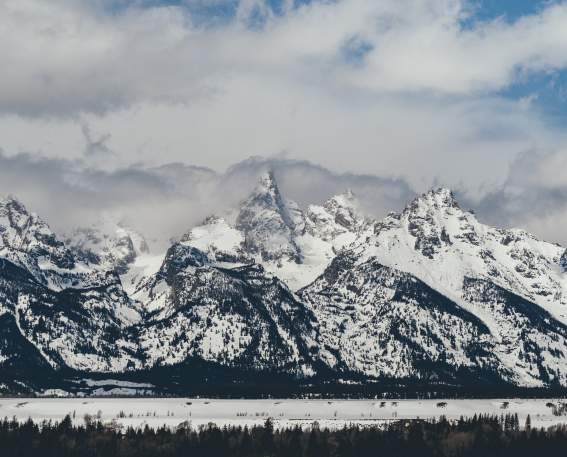 Snowy Tetons