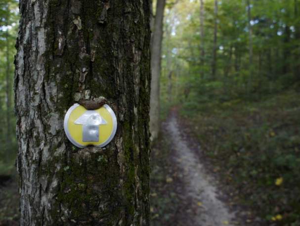 East Fork State Park trail marker