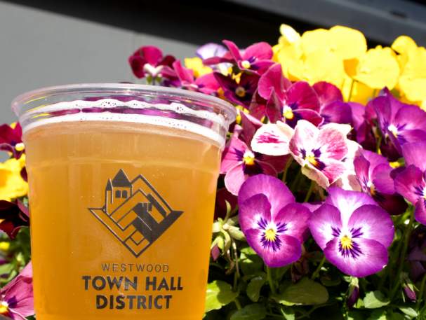 A DORA cup from West Side Brewing