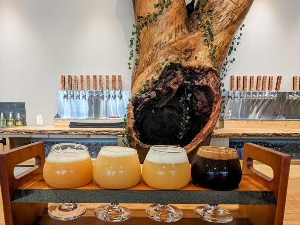 Flight of beer made up of 5, 5oz pours of beer.