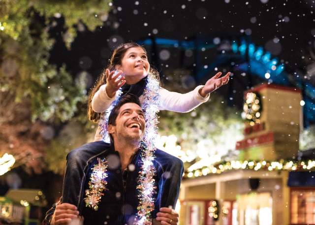 sachin and babi light blue dress Dressed-up dogs impress judges in festive parade