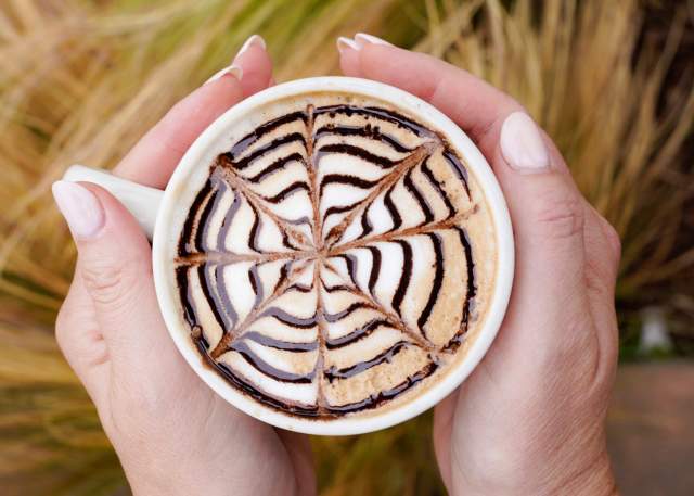Top Coffee Shops on The Peninsula (By City)