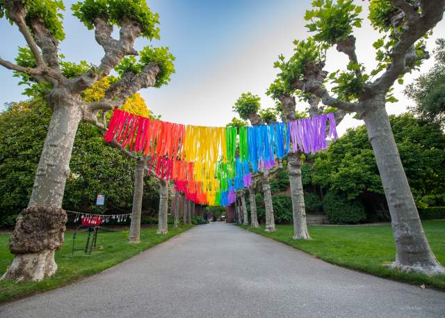 Pride Events on The San Francisco Peninsula