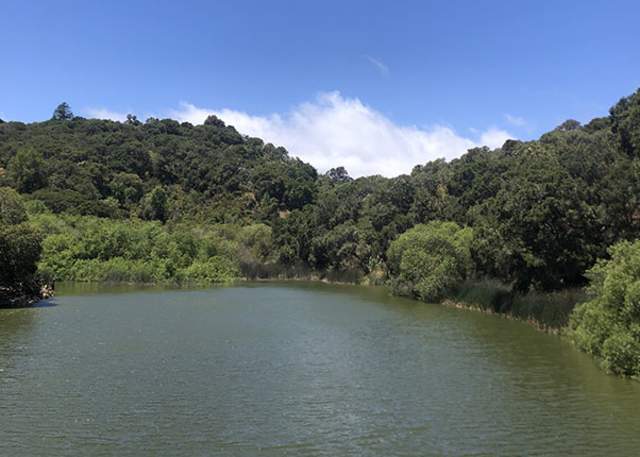 7 Ideal Picnic Spots on The San Francisco Peninsula