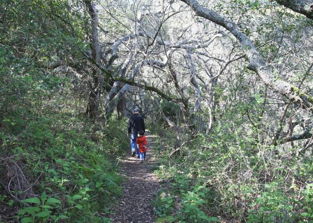 Things To Do In San Bruno, CA