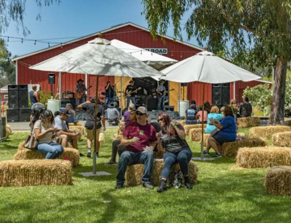 BBQ, Boots, & Brew