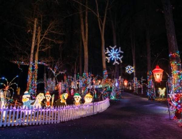 Christmas Magic -- A Festival of Lights